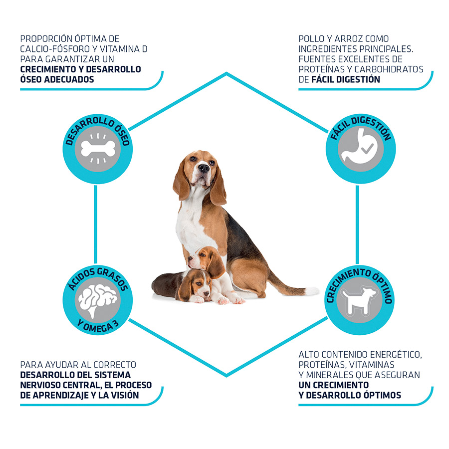 pienso_perros_affinity_advance_mother_dog_puppy_initial_beneficios_ADV500310_M