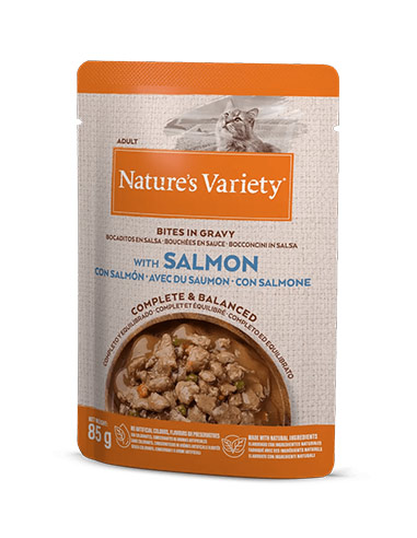 Alimento húmedo gatos salmón