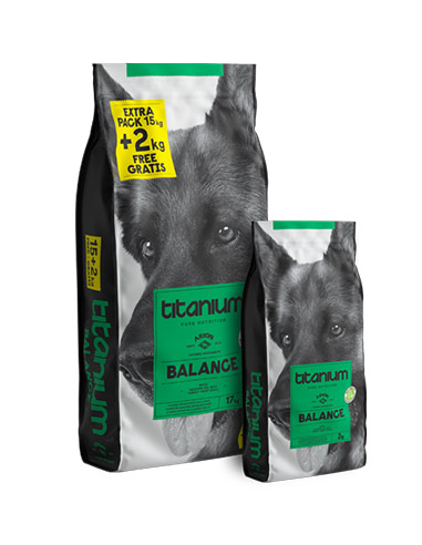 pienso para perros adultos