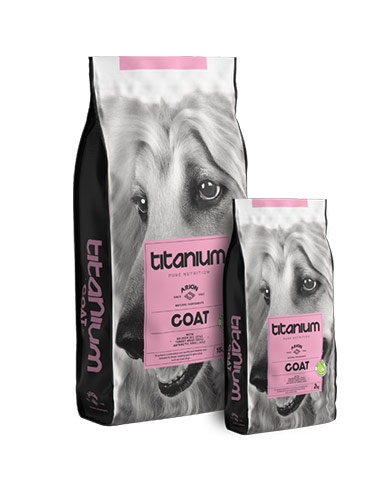 alimento para perros de exposición