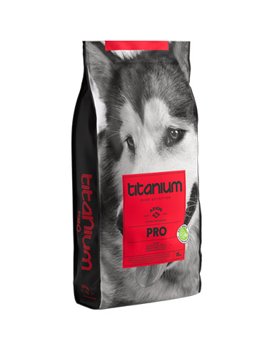 pienso para perros activos