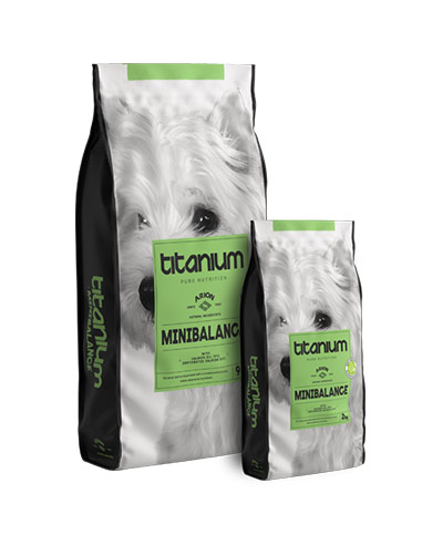 pienso perros adultos pequeños