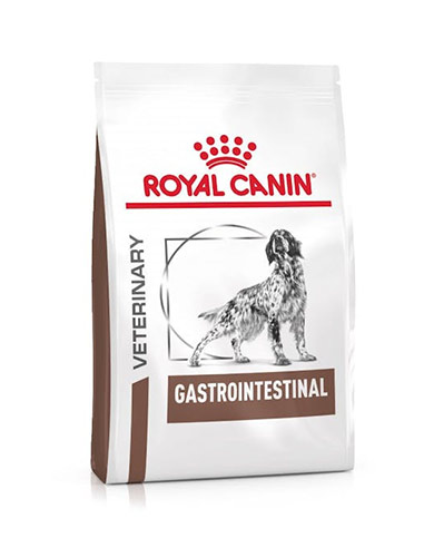 royal canin pienso problemas digestivos
